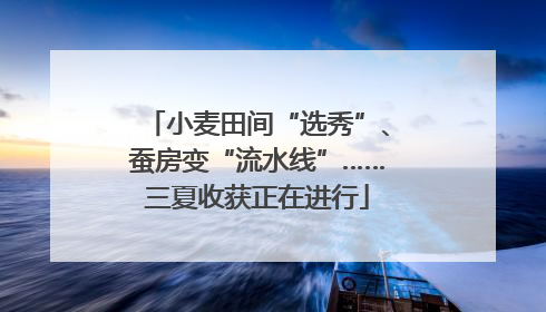 小麦田间“选秀”、蚕房变“流水线”……三夏收获正在进行